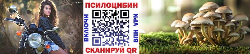 площадка формула Ветлуга Псилоцибиновые грибы Psilocybine cubensis